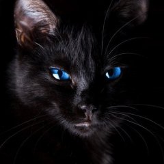 Ирина Копылова