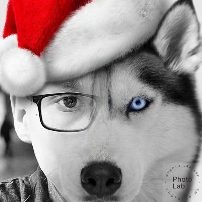Studio Wolf