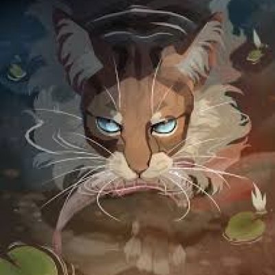 Коршун_КоТы-ВоИтЕлИ